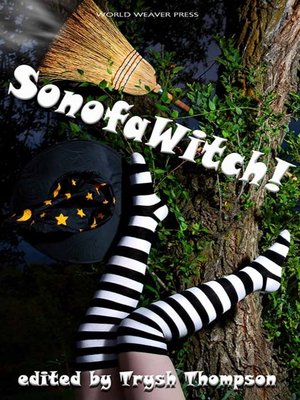cover image of SonofaWitch!